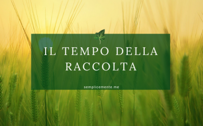 Il tempo della raccolta