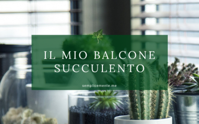 Il mio balcone succulento