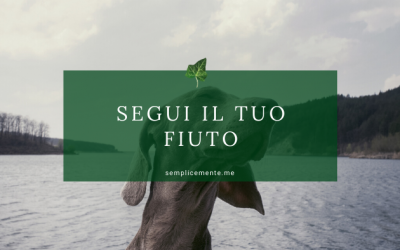 Segui il tuo fiuto