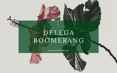 Delega Boomerang