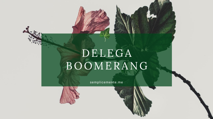 Delega Boomerang