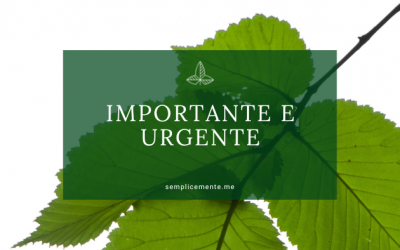 Importante e urgente